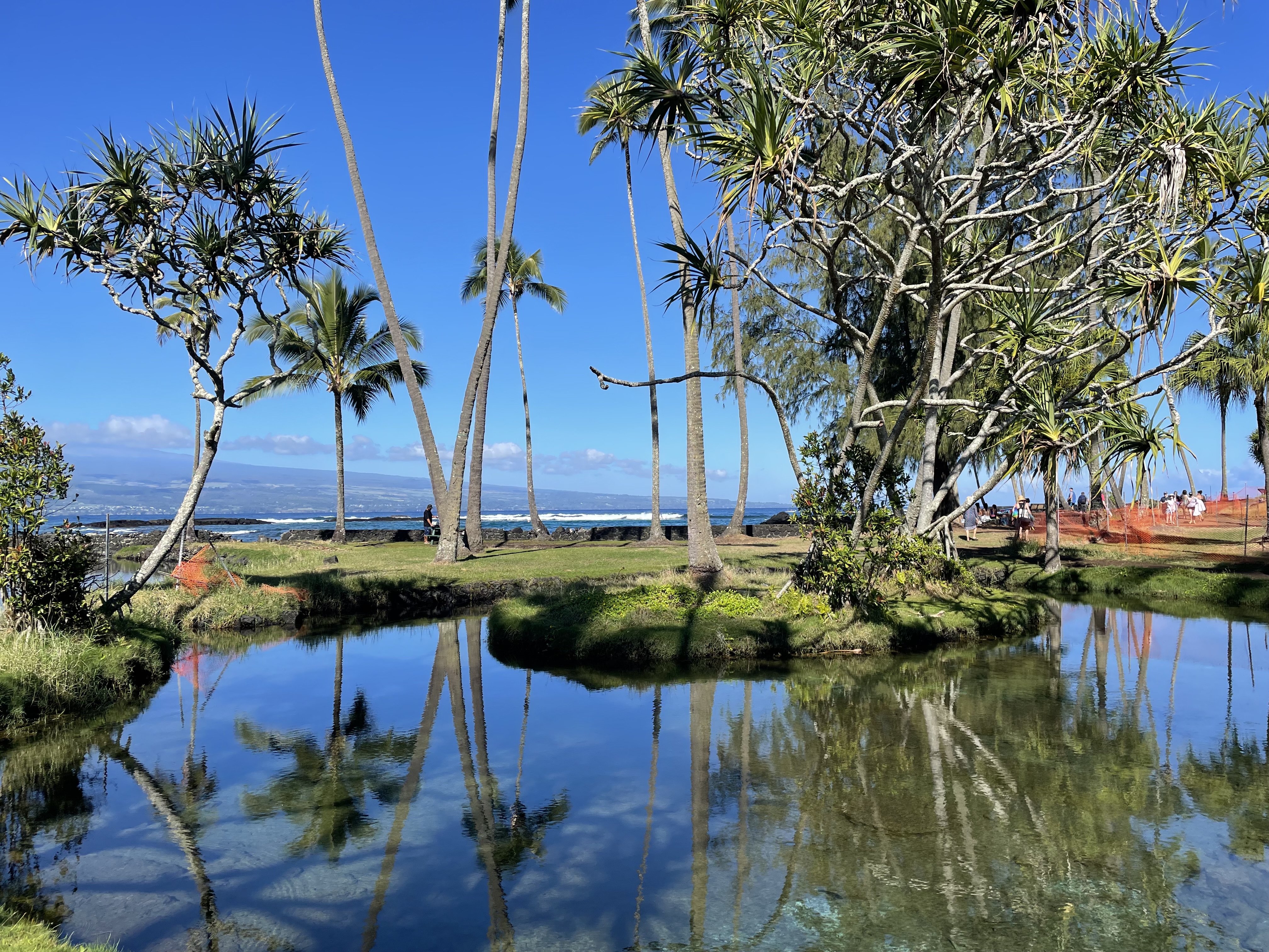 View on the Hilo side
