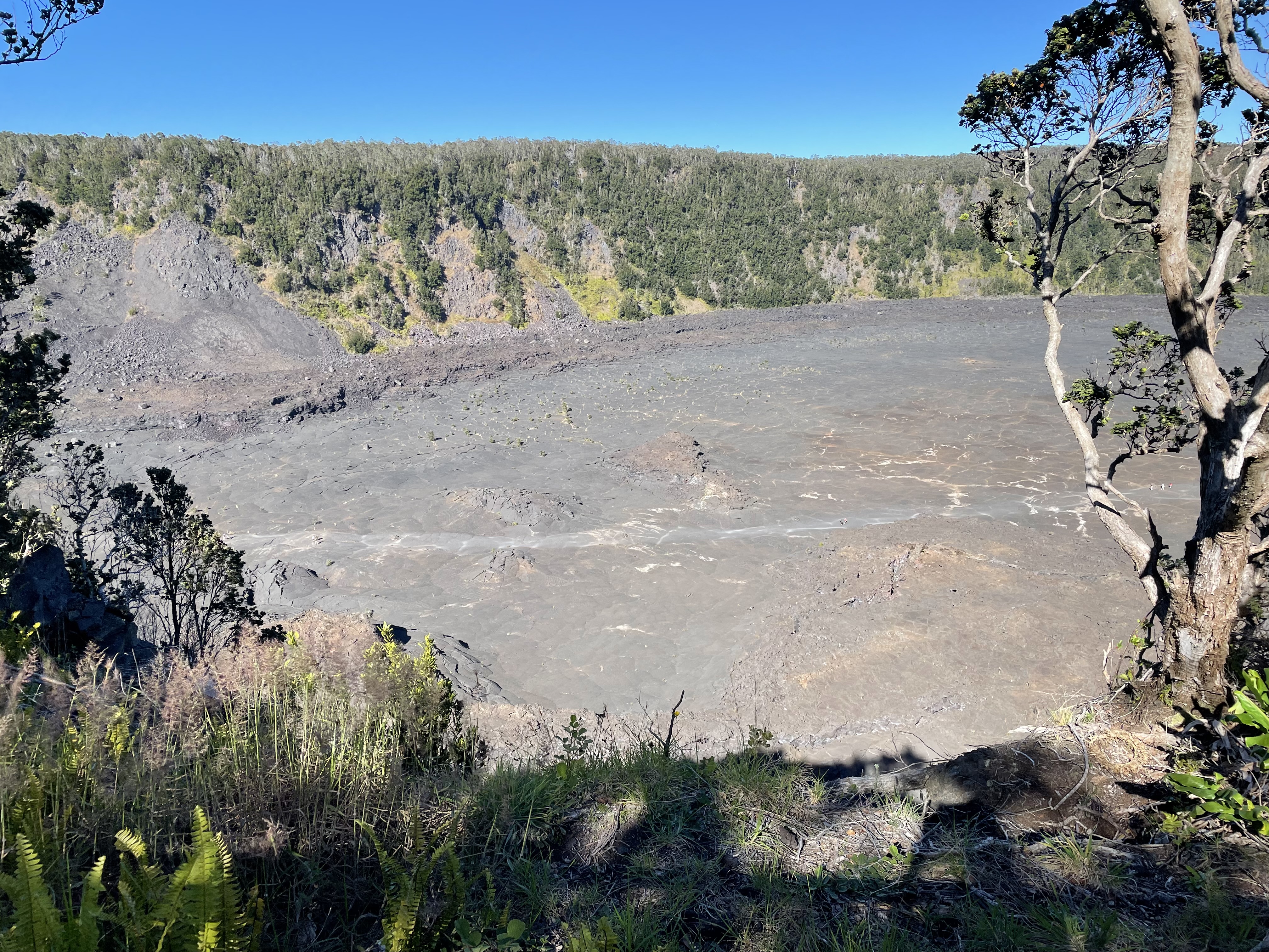 Trail towards the crater on Kilauea