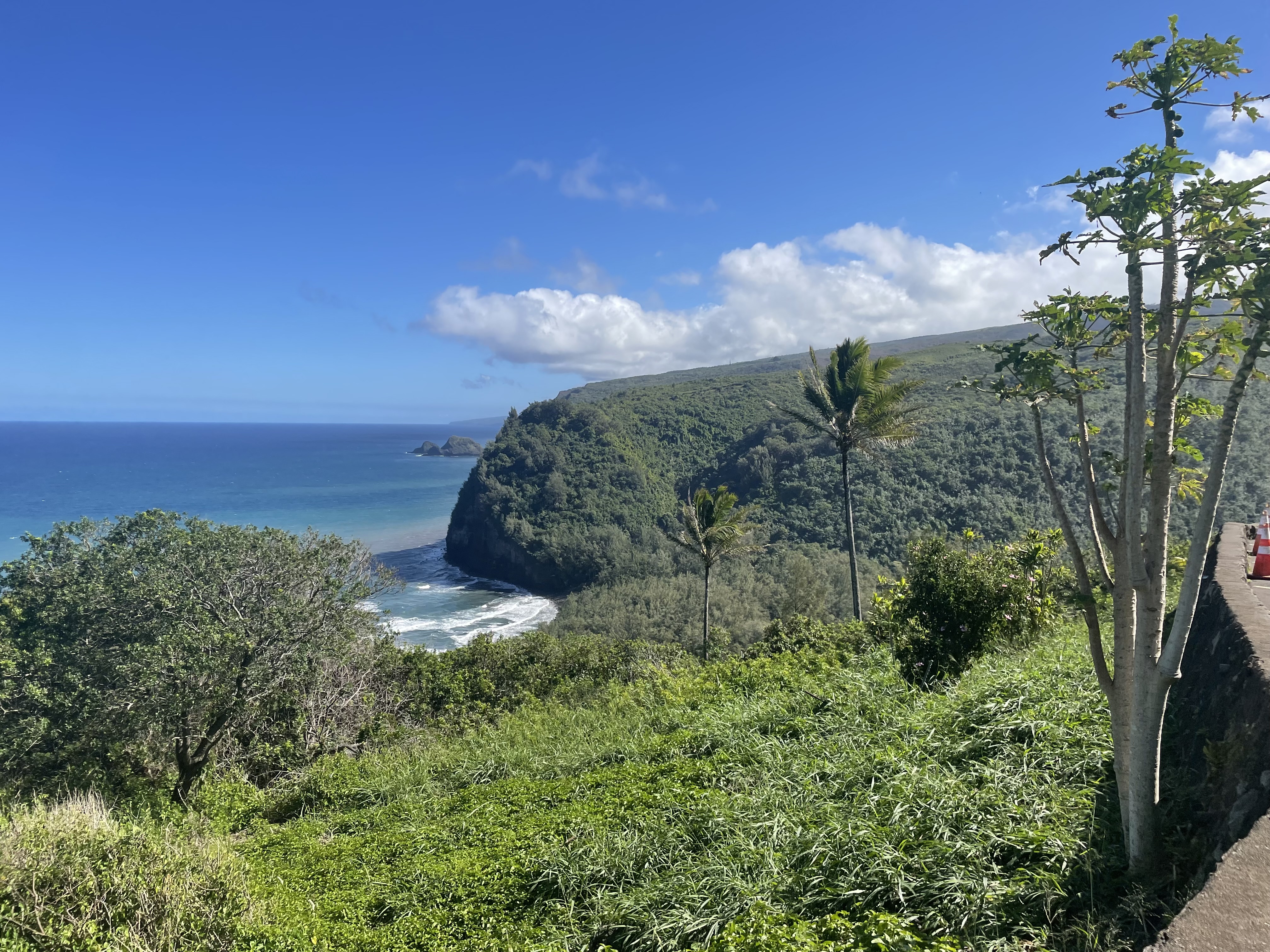 Start of the hike at Pololu Valley