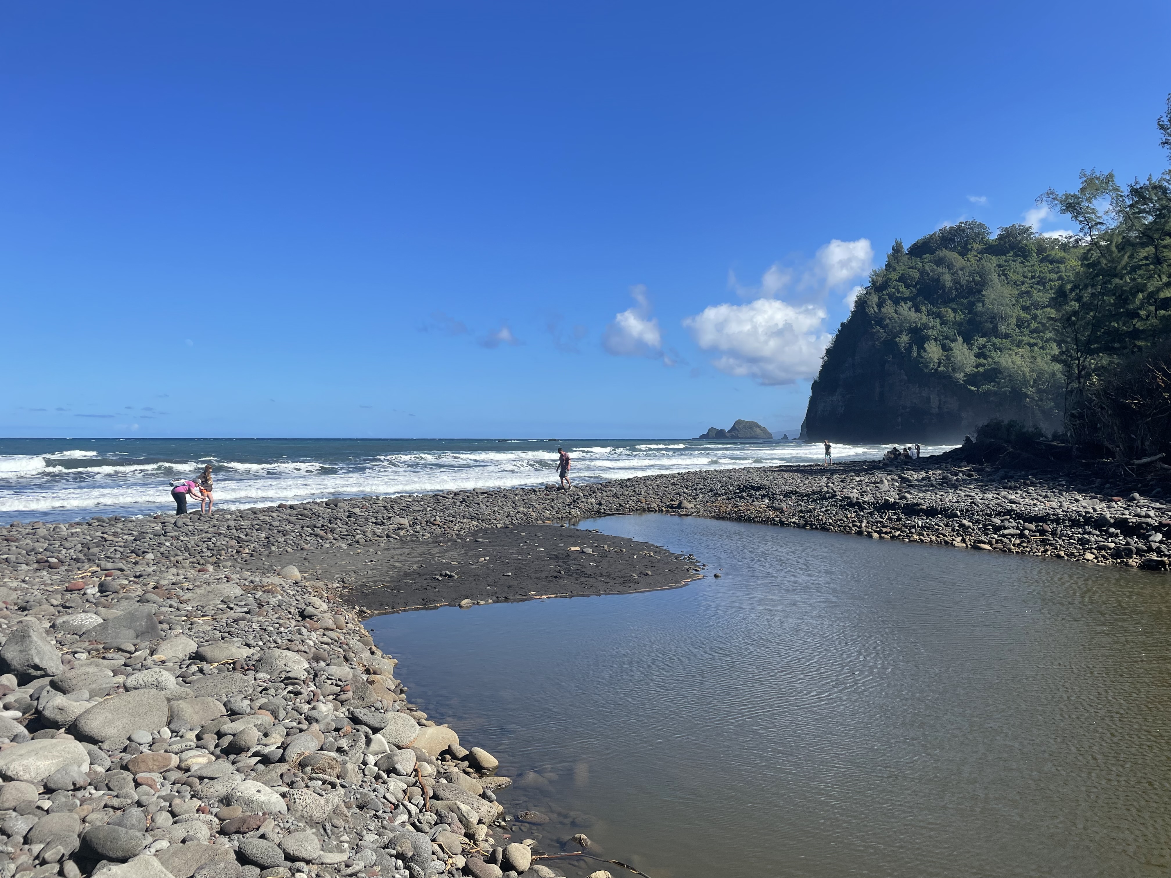 View of the beach at Pololu Valley