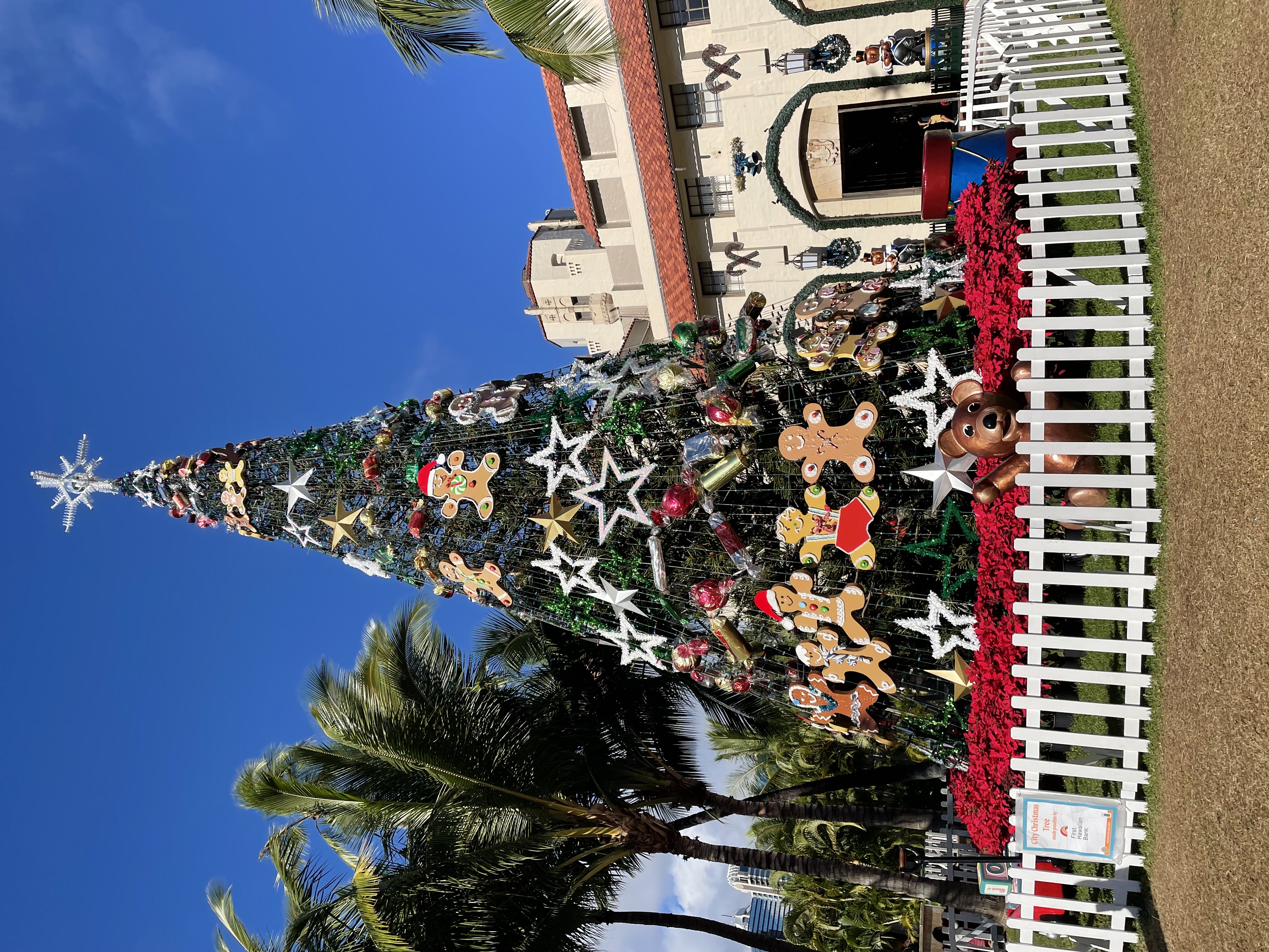Christmas tree in downtown Honolulu