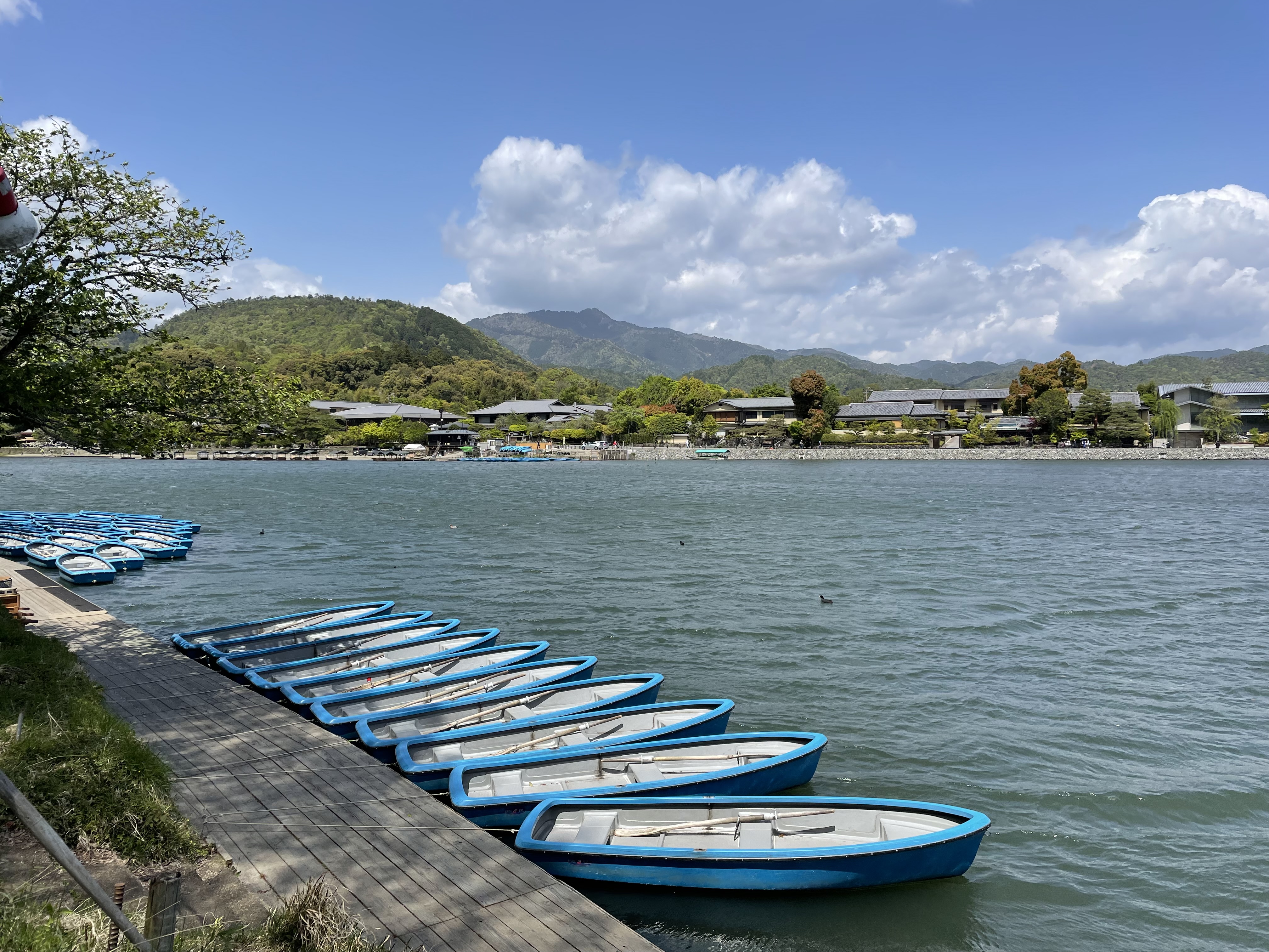 Row boats on Katsuragawa