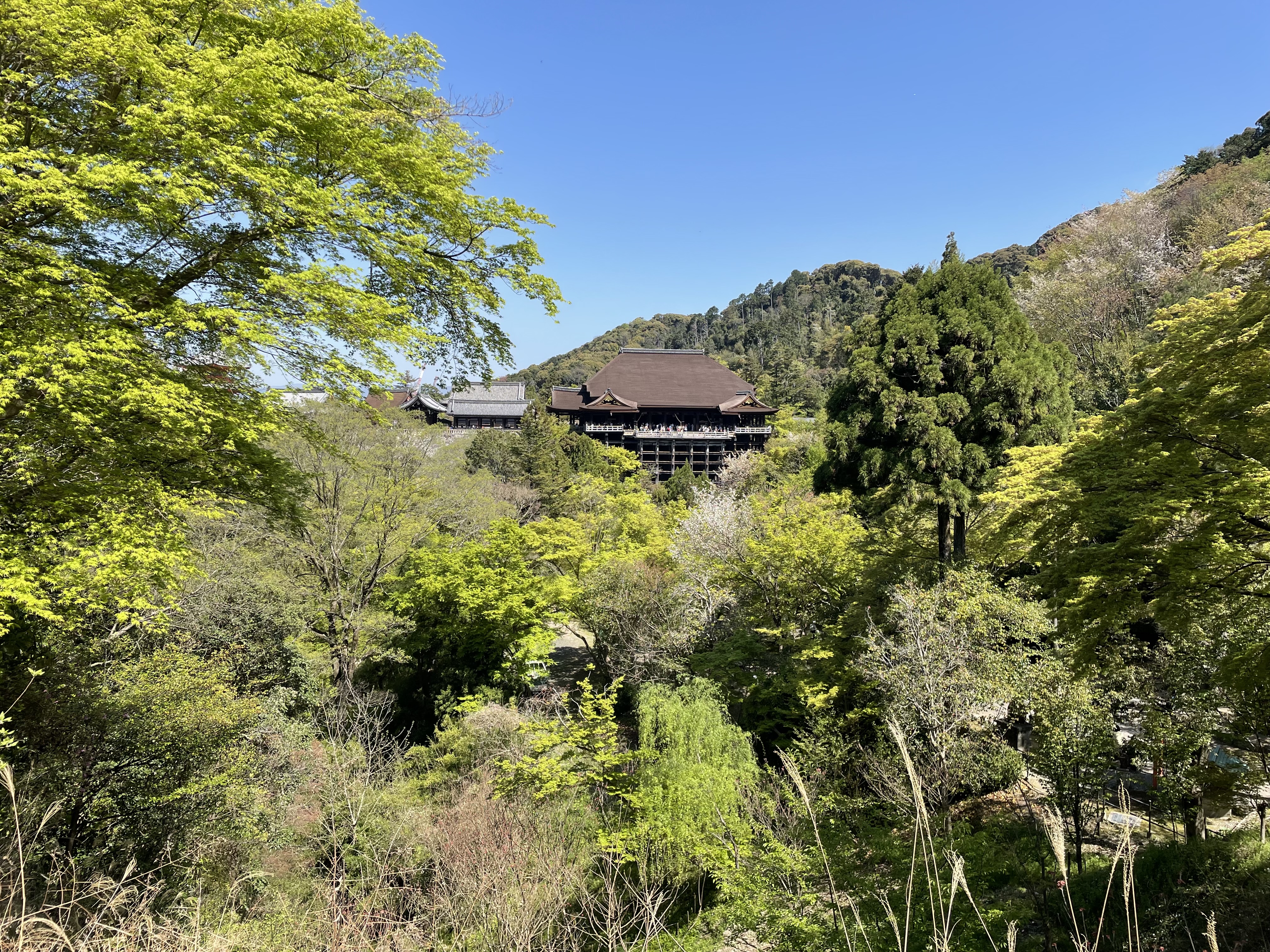 View of the main Kiyomizu-Dera temple